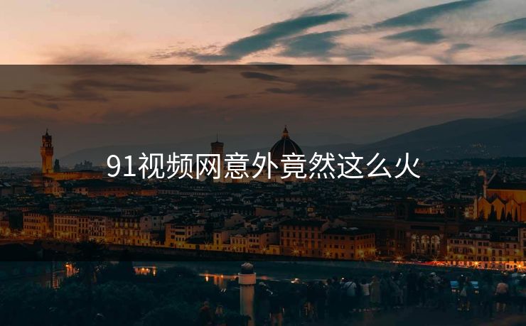 91视频网意外竟然这么火