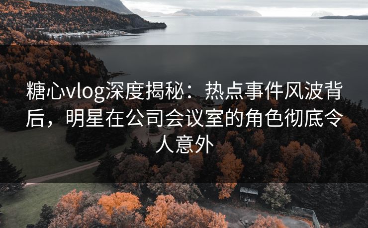 糖心vlog深度揭秘：热点事件风波背后，明星在公司会议室的角色彻底令人意外