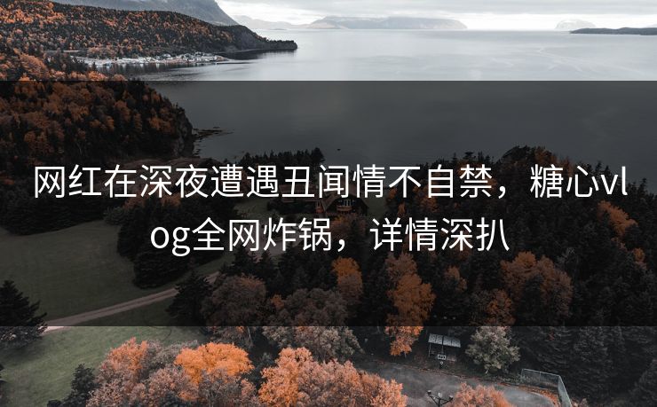 网红在深夜遭遇丑闻情不自禁，糖心vlog全网炸锅，详情深扒