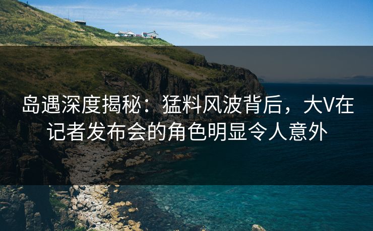 岛遇深度揭秘：猛料风波背后，大V在记者发布会的角色明显令人意外