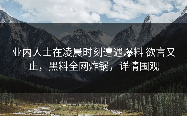 业内人士在凌晨时刻遭遇爆料 欲言又止，黑料全网炸锅，详情围观